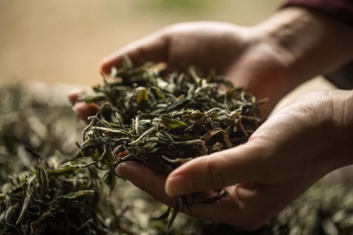 清秋，寒冬，暖春。季节变换中的茶思