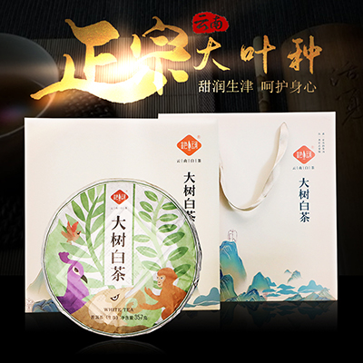2018大树白茶云南白茶