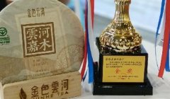 云河头条|相约羊城，享年份茶韵