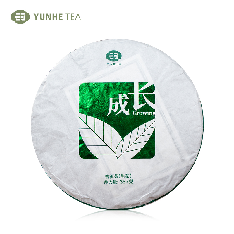 云河廿年代表作—成长