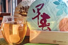 云河品鉴|2025年早春
