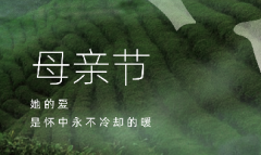 云话茶事| 母爱如茶，悠长且深沉