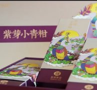 云河茶品 | 云河紫芽小青柑十周年焕新上市